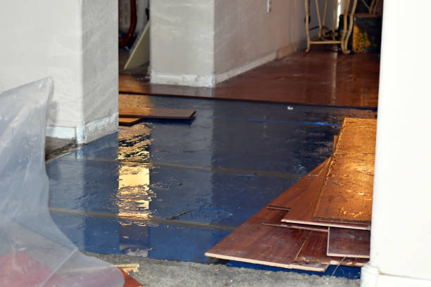 Professional Water Damage Restoration technician working in Corbett, OR